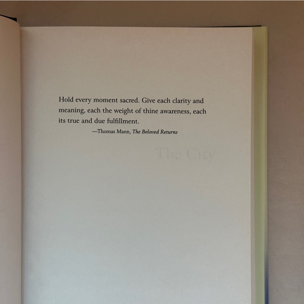 The City: A Novel by Dean Koontz | Literary Fiction, Romance | Hardcover Book - Picture 4 of 8